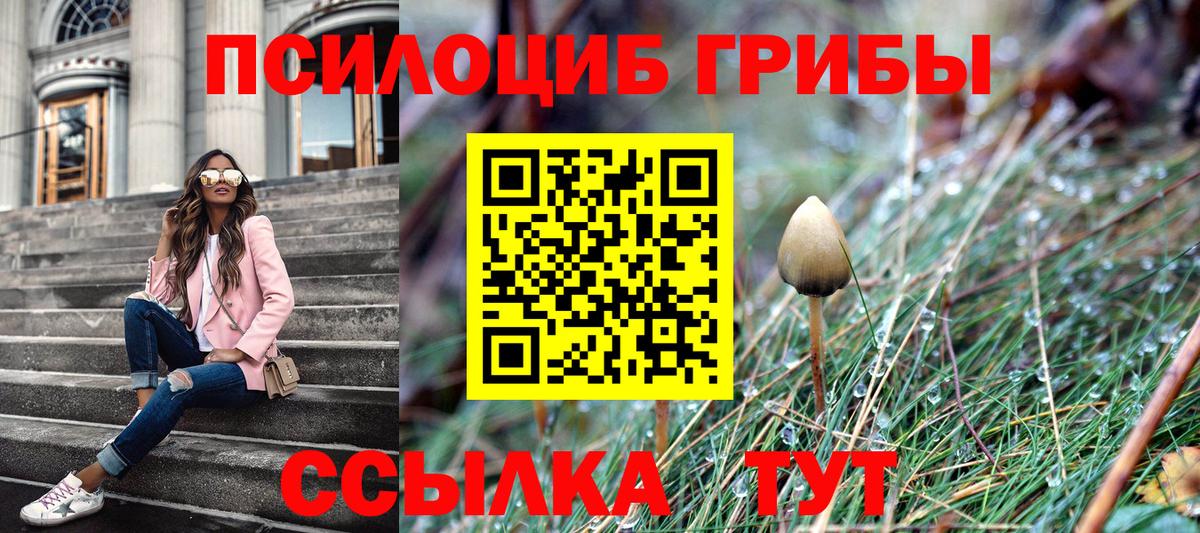 Псилоцибиновые грибы мицелий  Вход с VPN  Галлюциногенные грибы мухоморы  Гуково 
