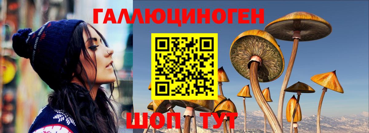 Галлюциногенные грибы прущие грибы Гуково